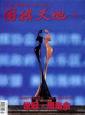 围棋天地杂志